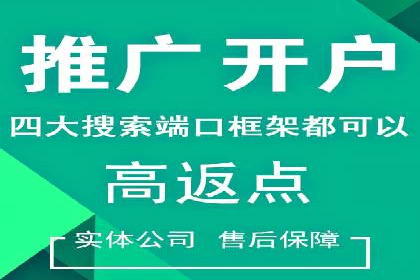 SEM代理操作技巧：成功案例揭秘